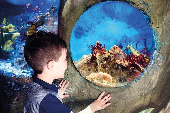 SEA LIFE Timmendorfer Strand Admission Ticket - Final Thoughts