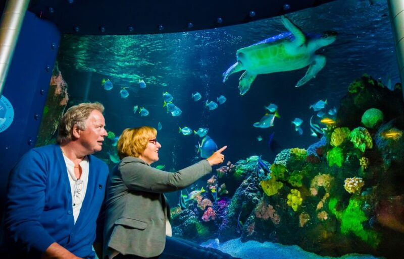 sea-life-timmendorfer-strand-ticket