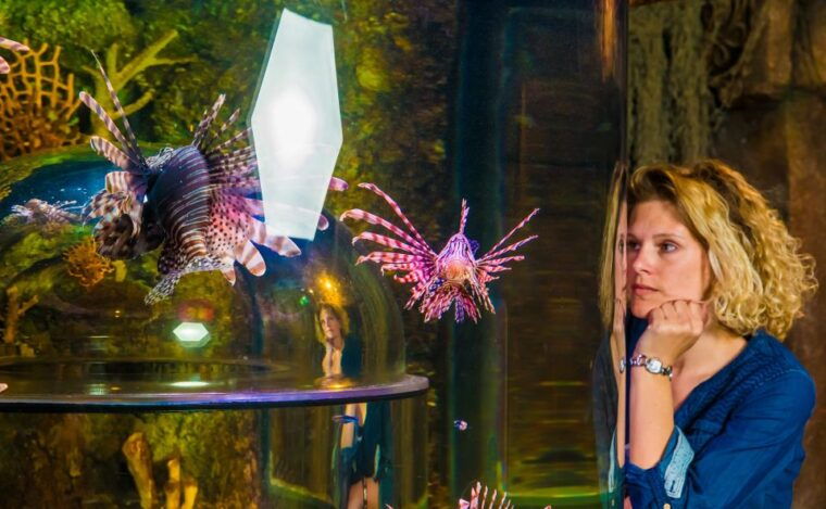 sea-life-timmendorfer-strand-ticket