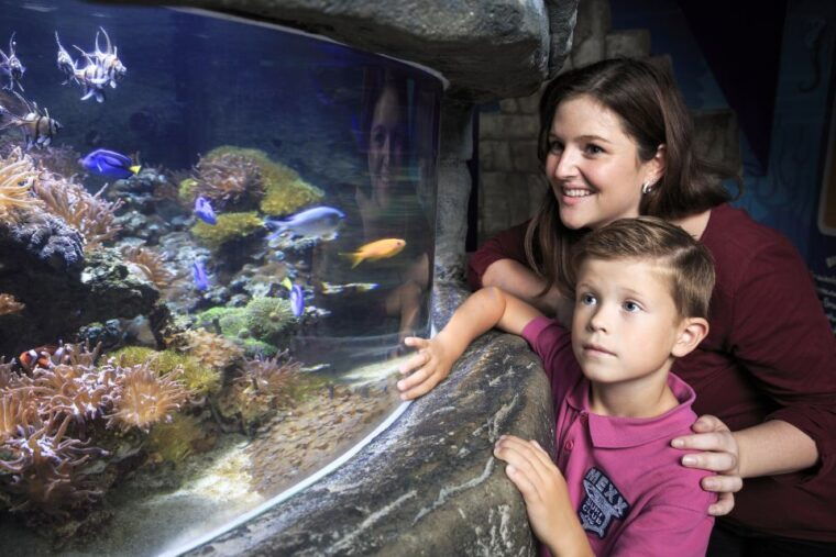 sea-life-timmendorfer-strand-ticket