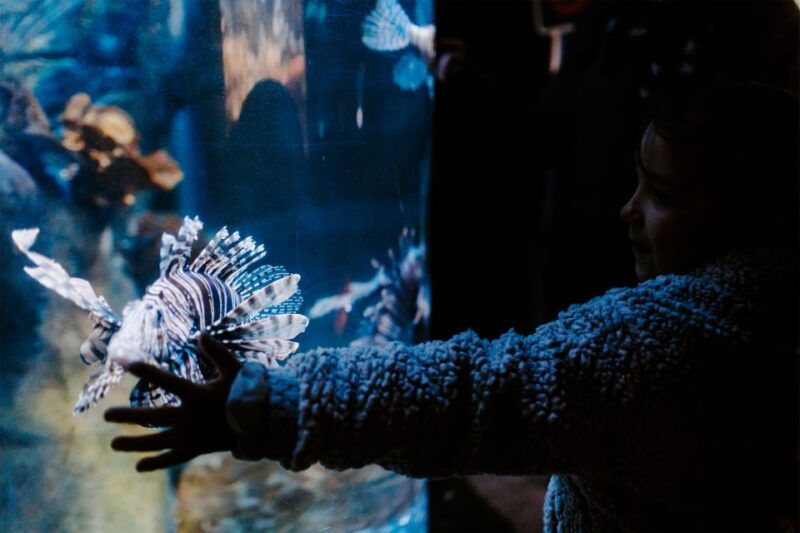 sea-life-weymouth-admission-ticket-2