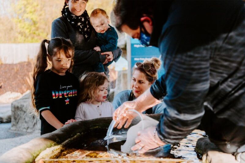sea-life-weymouth-admission-ticket-2