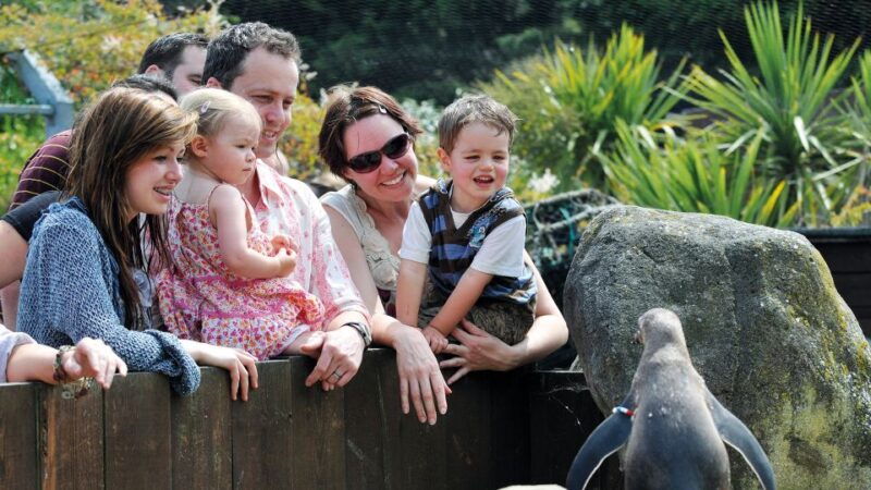 sea-life-weymouth-admission-ticket-2