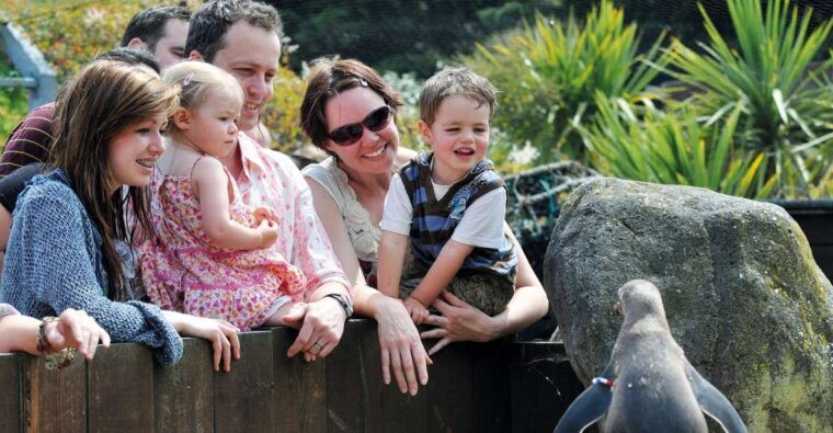 sea-life-weymouth-admission-ticket-2
