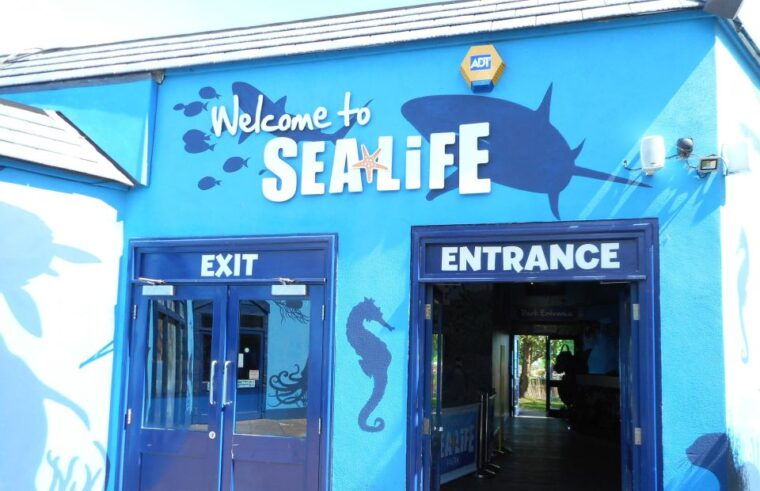 sea-life-weymouth-admission-ticket-2