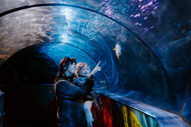 sea-life-weymouth-admission-ticket