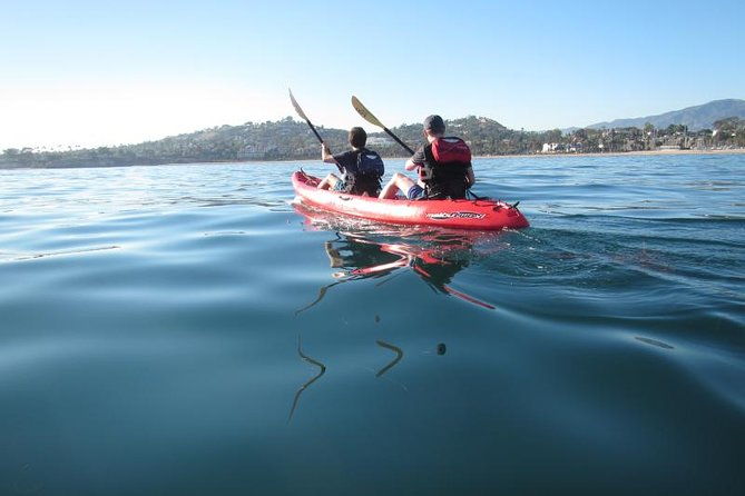 sea-lion-kayak-tour-santa-barbara-harbor