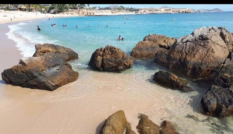 Sea of Cortez: Unforgettable Snorkeling Experience - What Makes This Snorkeling Tour Special?