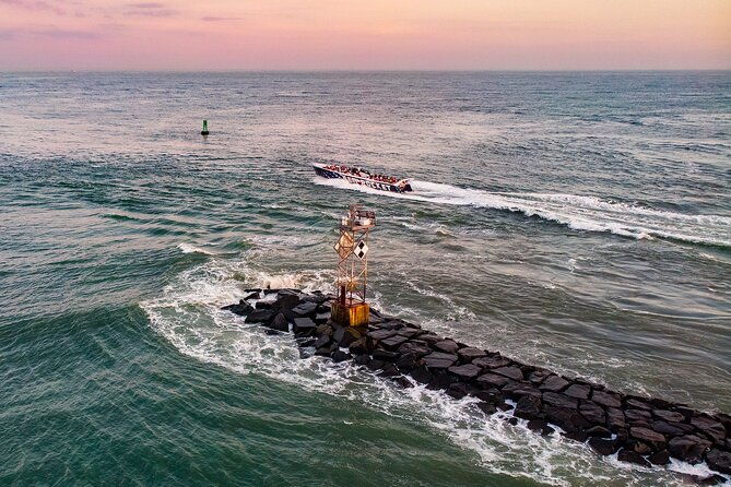 sea-rocket-speed-boat-and-dolphin-cruise-in-ocean-city-md