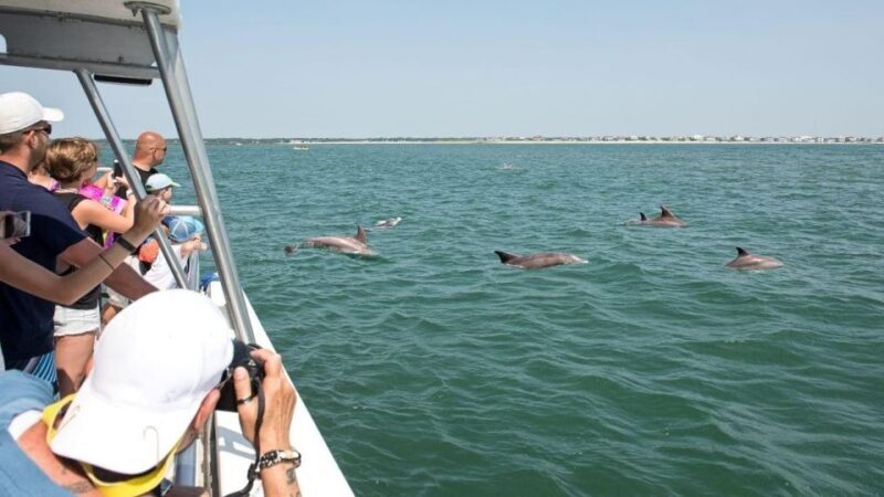 Sea Rocket Sunset & OC Harbor Cruise in Ocean City, MD - What Reviewers Say