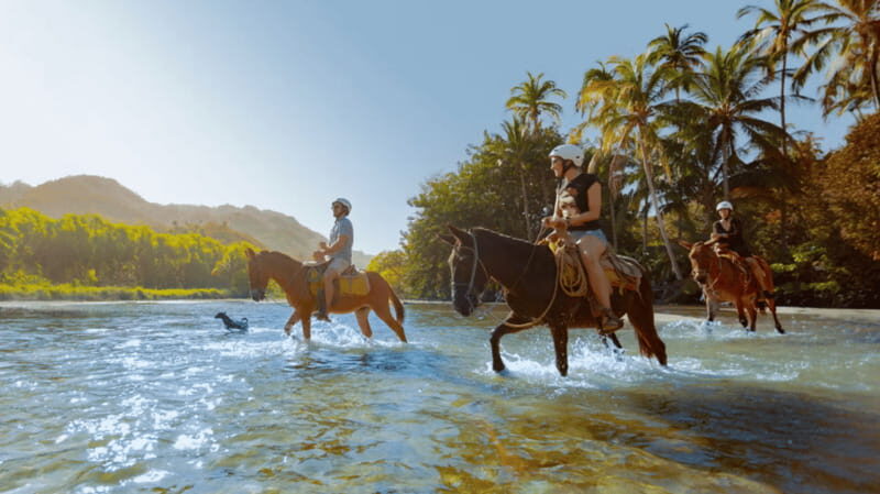 Sea Safari, Coastal Village Adventure and Secret Beach - Detailed Breakdown of the Itinerary  