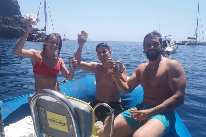 SEA SAFARI Dolphins, Whales, 3h speedboat DISCOVERY-TOUR - An Honest Look at the SEA SAFARI Dolphins, Whales, 3h Speedboat Discovery Tour