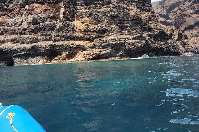 SEA SAFARI Dolphins, Whales, 3h speedboat DISCOVERY-TOUR - Frequently Asked Questions