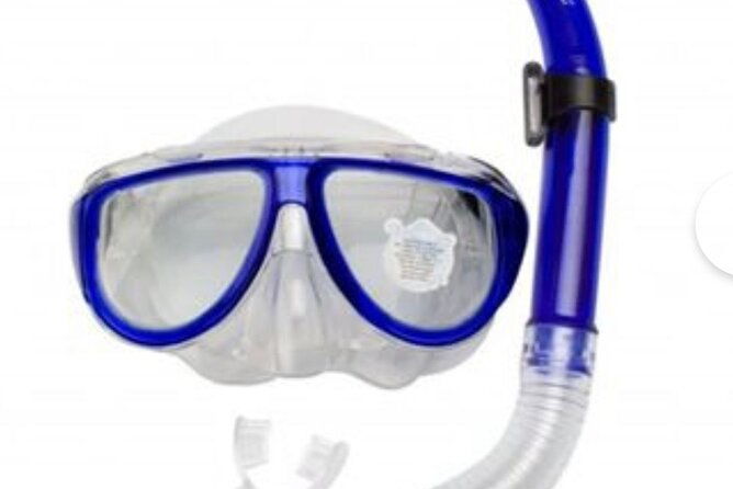 sea-safari-dolphins-whales-snorkeling-snack-and-drink-2-h-speedboat