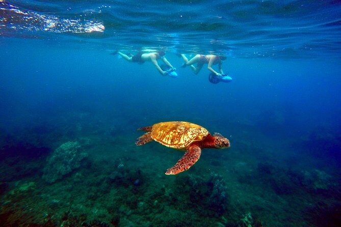 Sea Scooter Snorkeling Guided Tour - Wailea Beach - The Experience in Detail: What to Expect