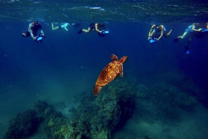 Sea Scooter Snorkeling Guided Tour - Wailea Beach - Wrapping Up