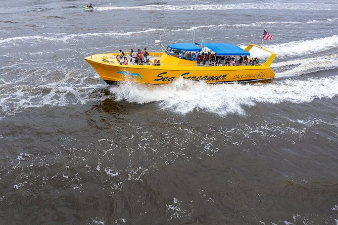 sea-screamer-cruise-2-hour-dolphin-watch-tour-in-south-carolina-2