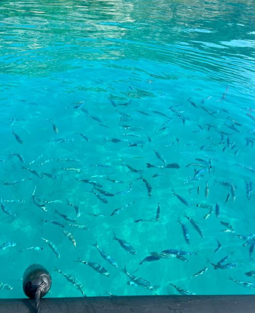 sea-trip-from-villefranche-sur-mer-swimming-stop