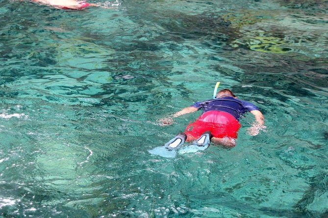 sea-turtles-and-snorkeling