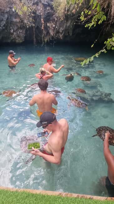 Sea Turtles (Aquarium): A hidden cave Into the Deep. - Exploring the Hidden Cave: What This Tour Offers