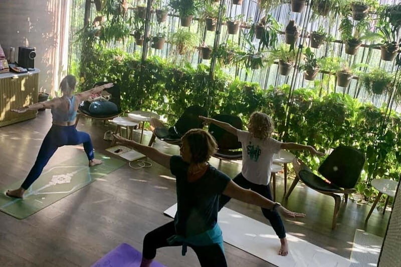 Sea View Yoga Class in Ortigia - Practical Details and Value  