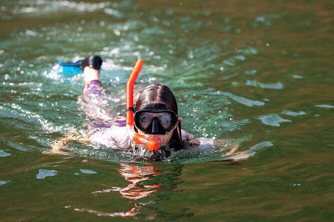 Sea Wonders Dolphin Watching and Snorkeling in Muscat - Key Points