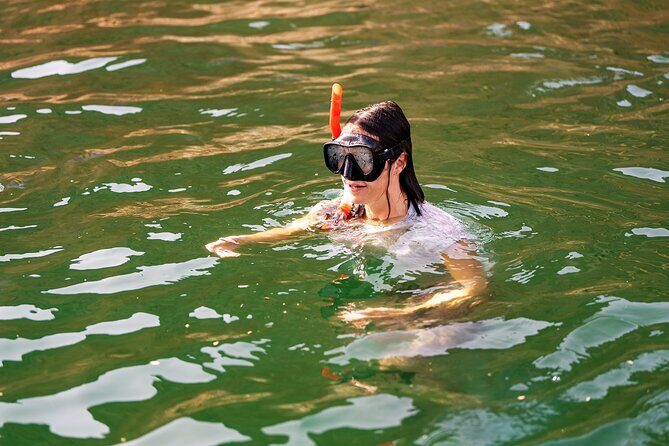 Sea Wonders Dolphin Watching and Snorkeling in Muscat - Who Will Love This Tour?