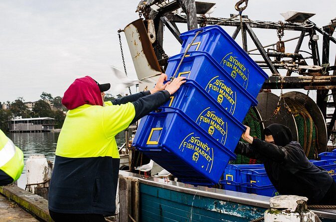Seafood Discovery Class at Sydney Seafood School - Who Should Consider This Tour?