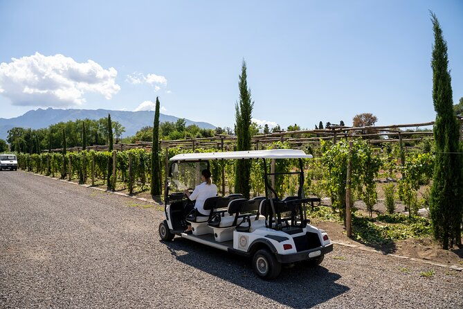 seafood-lunch-with-wine-tasting-tour-on-a-golf-cart