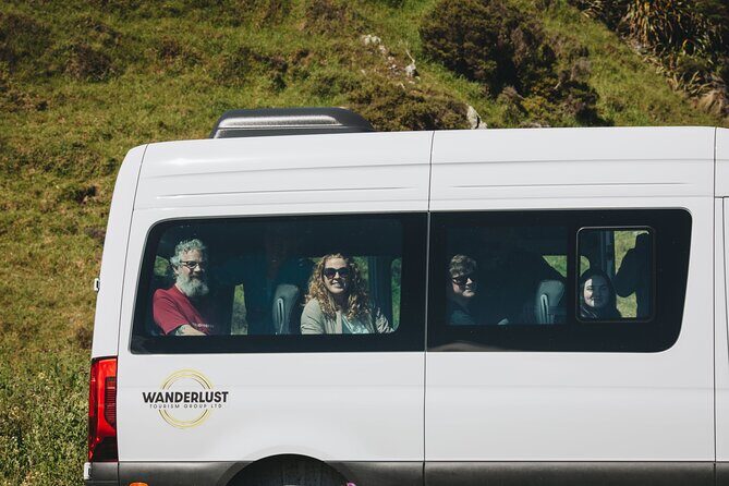 Seal Coast Safari - Exclusive access to Wellington's secret coast - An In-depth Look at the Seal Coast Safari Experience