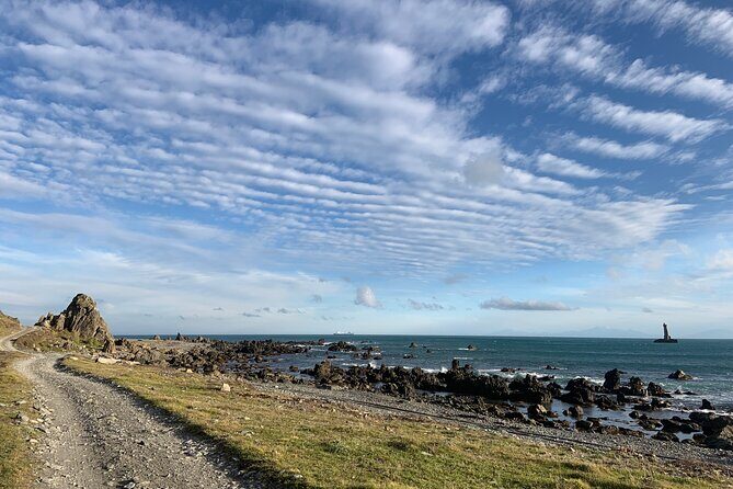 Seal Coast Safari - Exclusive access to Wellington's secret coast - Who Will Love This Tour?