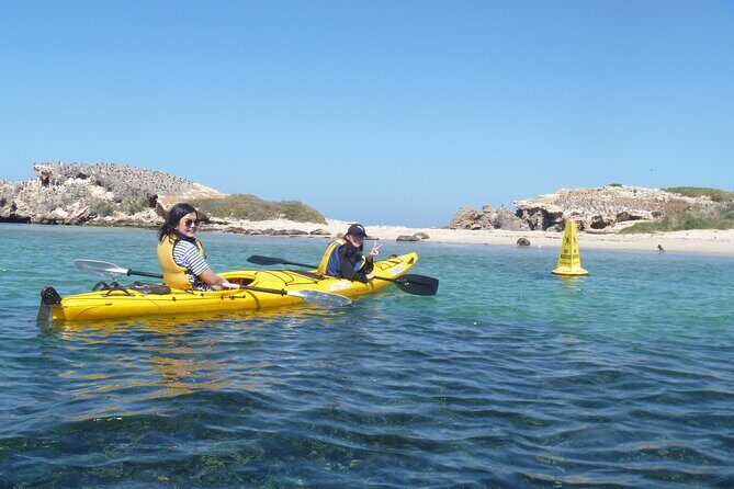 Seal Island and Penguin Island or Point Peron Sea Kayak Tour - What’s Included and What’s Not