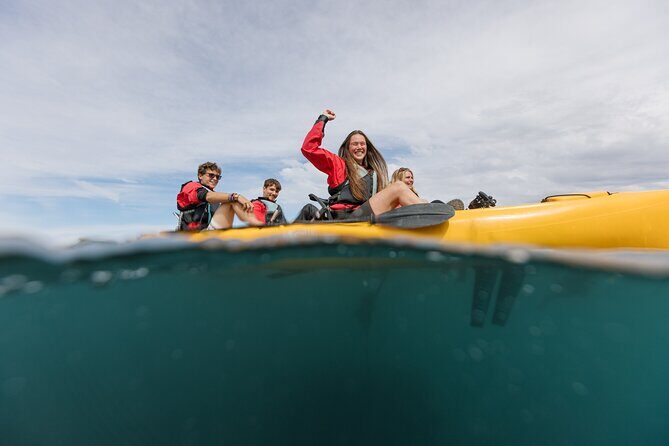 Seal Kayaking Adventure in Kaikoura - The Experience Itself: What to Expect