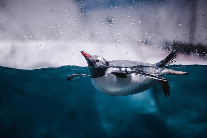 Sealife Bangkok + Madame Tussauds Bangkok for Foreigner - Final Thoughts: Is It Worth It?