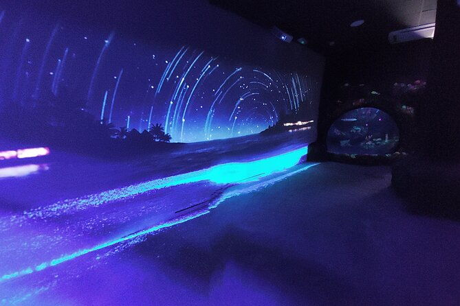 sealife-benalmadena-entrance-ticket-2