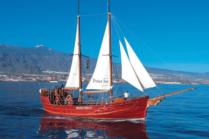 sealife-dolphin-whale-watching-aboard-portuguese-schooner