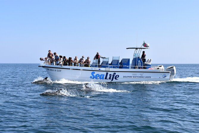 sealife-sea-safari-dolphin-watching-with-marine-biologists-lagos