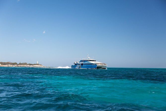 Sealink Bike & Ferry Package from Perth to Rottnest - Final Thoughts