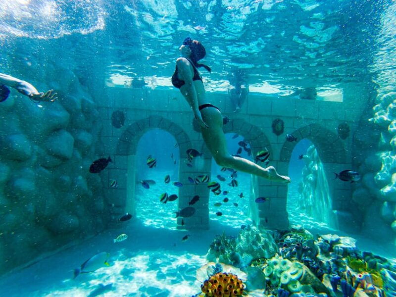 seapark-swimming-in-pool-aquarium-with-authentic-creatures