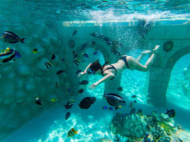 seapark-swimming-in-pool-aquarium-with-authentic-creatures