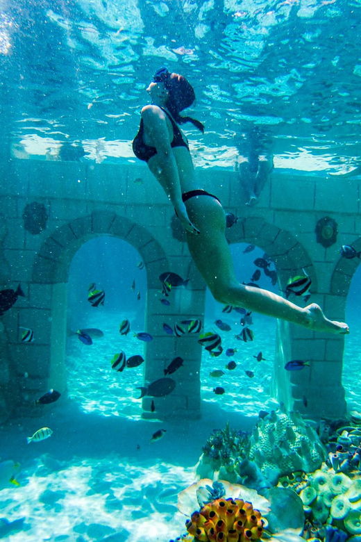 seapark-swimming-in-pool-aquarium-with-authentic-creatures