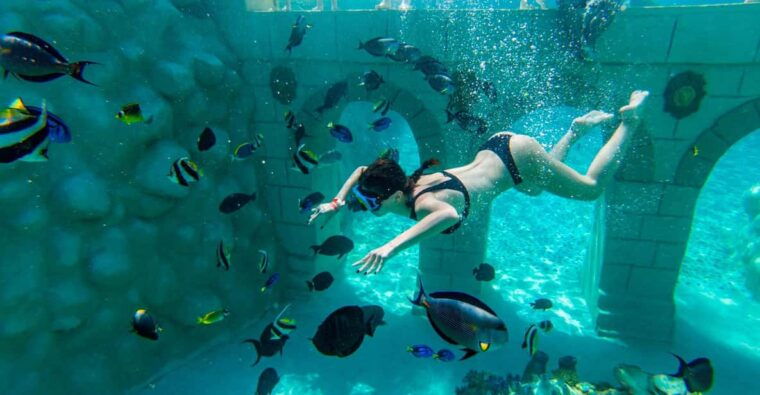 seapark-swimming-in-pool-aquarium-with-authentic-creatures