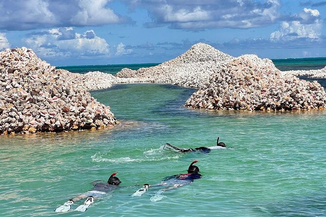 seas-the-day-hop-to-iconic-bvi-islands-snorkel-enjoy-brews