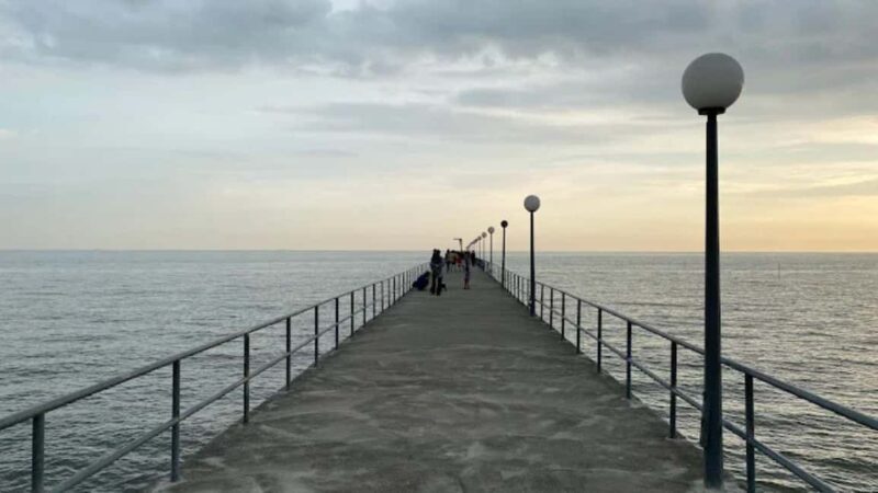 Seaside Charms & Eco Discoveries: Morib to Bagan Lalang - Exploring the Highlights of Seaside Charms & Eco Discoveries: Morib to Bagan Lalang