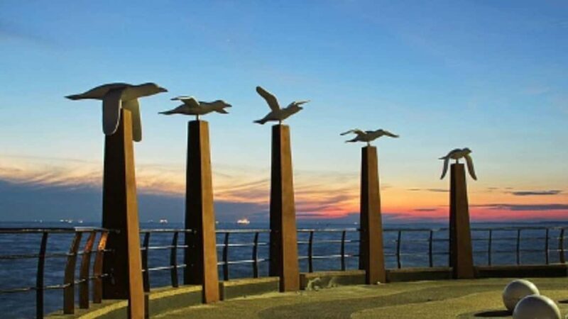 Seaside Charms & Eco Discoveries: Morib to Bagan Lalang - Who Would Enjoy This Tour?