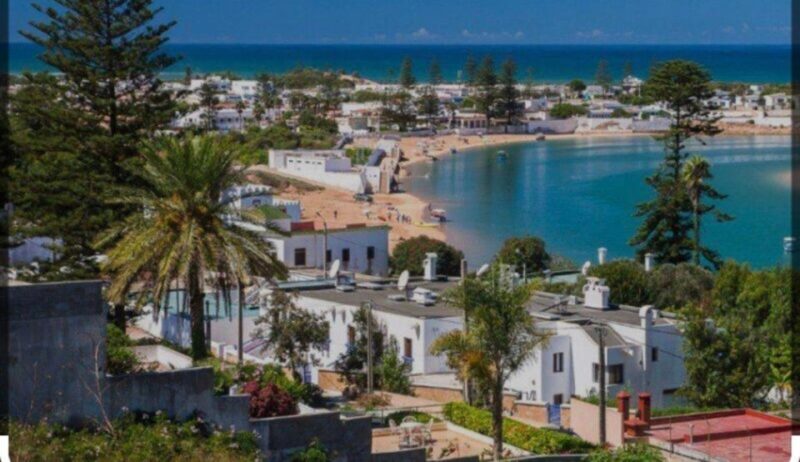 Seaside Serenity: Day Trip to Oualidia from Casablanca - What to Expect From the Transport and Guides