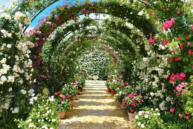 seasonal-colors-at-ashikaga-flower-park-from-karuizawa