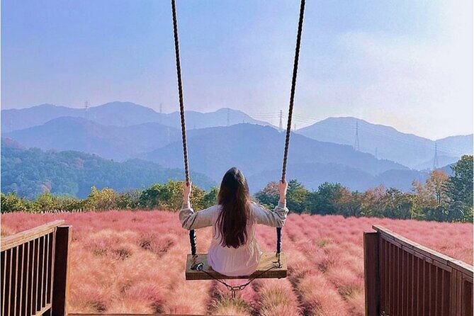 Seasonal Pocheon Full Day Tour with Apple Farm Experience - Key Points