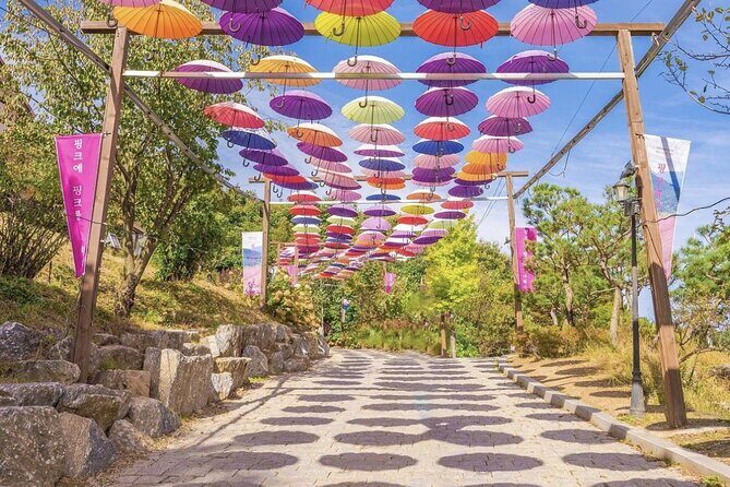 Seasonal Pocheon Full Day Tour with Apple Farm Experience - Authentic Experiences and Insights from Reviews