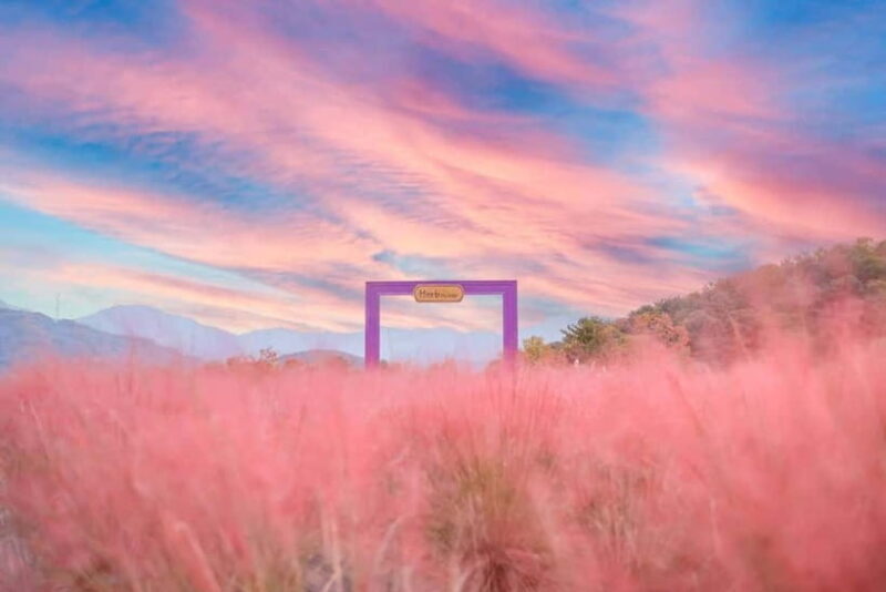 Seasonal Pocheon Full Day Tour with Apple Farm Experience - What Makes This Tour Stand Out